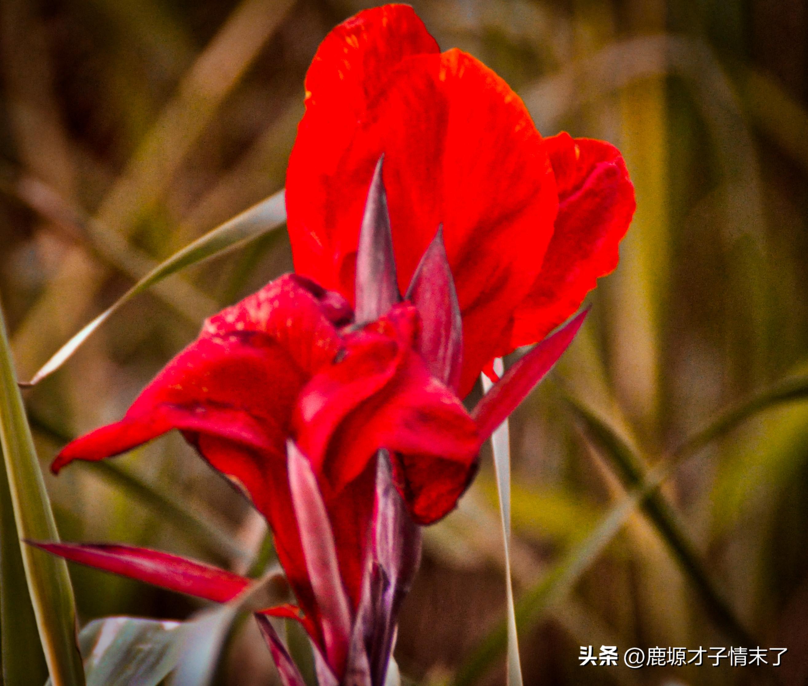 选择性记忆初中数学,选择性记忆全文