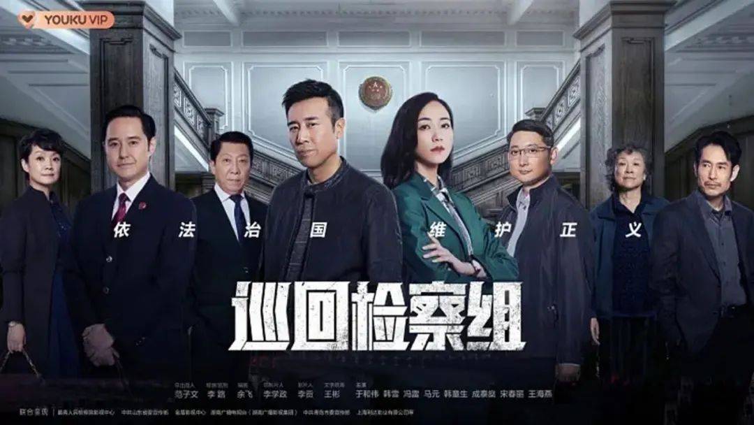 巡回检察组电视连续剧评论,电视剧《巡回检察组》