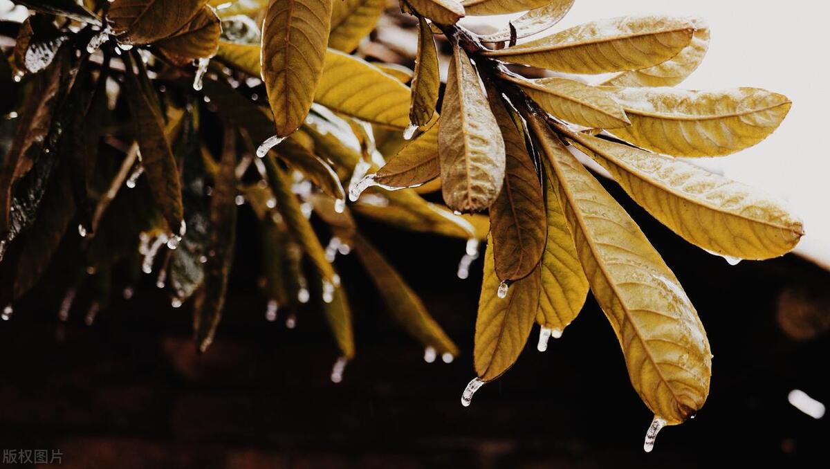 每日读书笔记经典语录,一日一书读书笔记大全