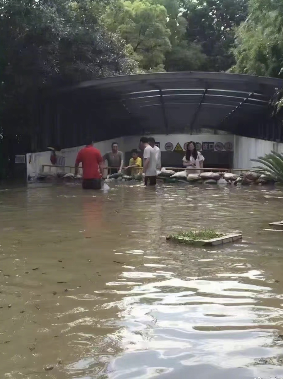 孟非被主持人吐槽,孟非遭央视主播怒怼