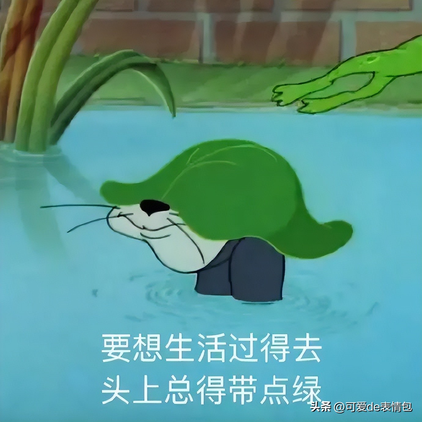 抖音黑人老嫂子搞笑表情包合集