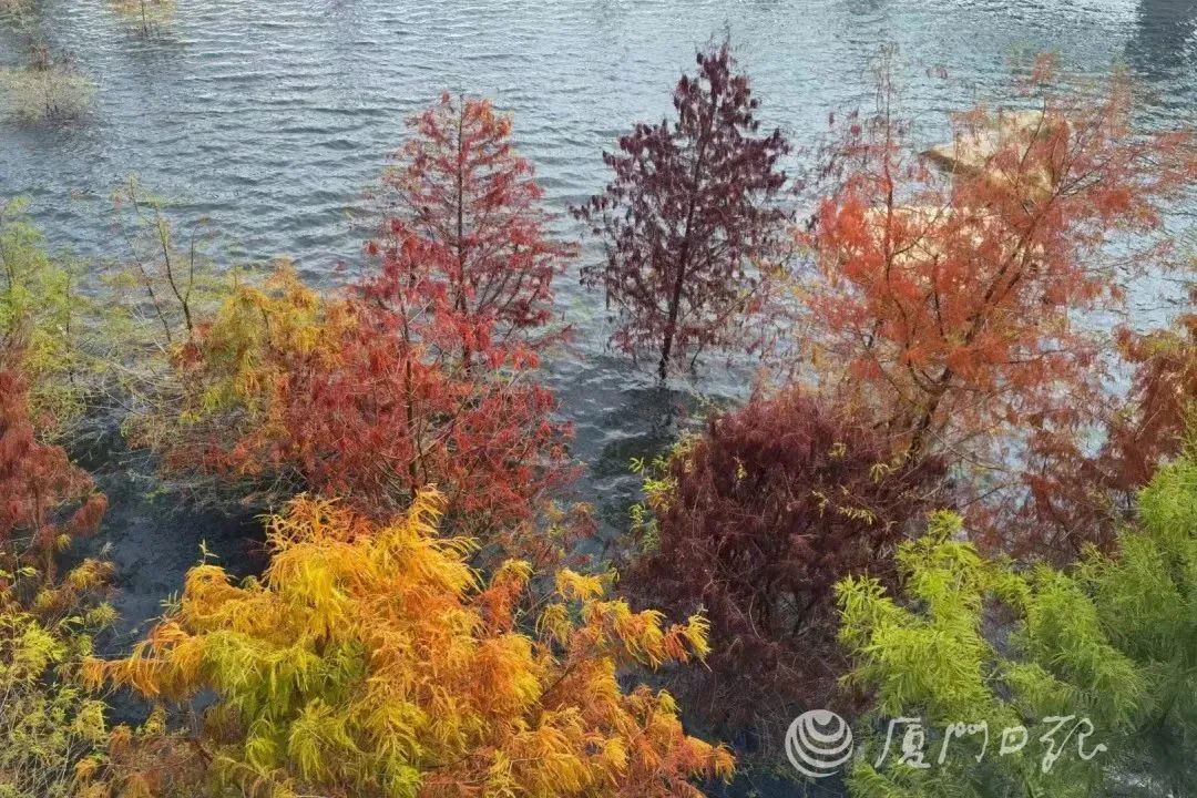 厦门秋游最佳去处,厦门周边秋游