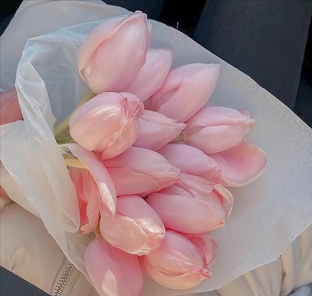 四十岁男人心中的女神,40岁大叔对什么样的女人会心动