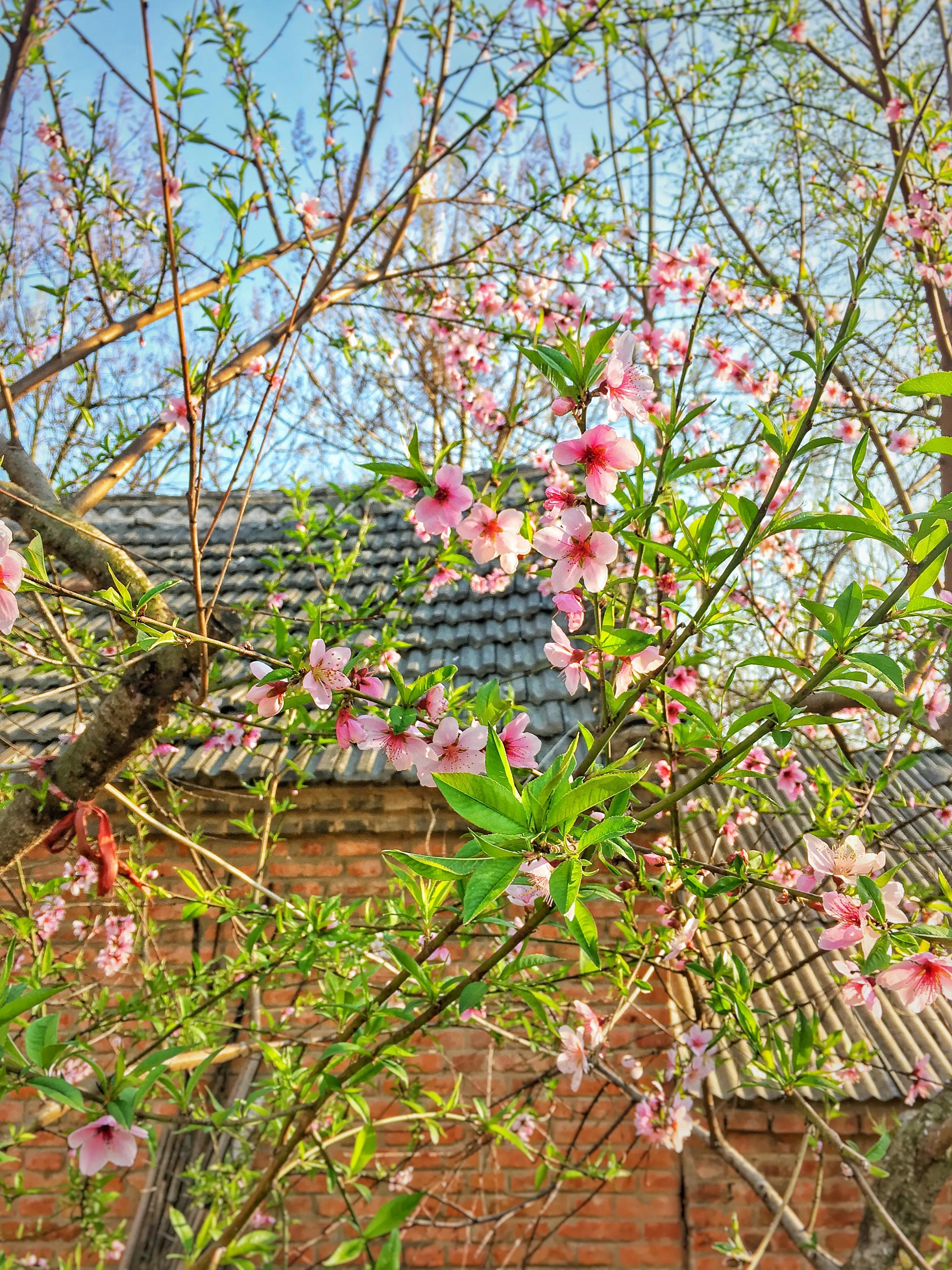 晚安玛卡巴卡,晚安的暖心句子