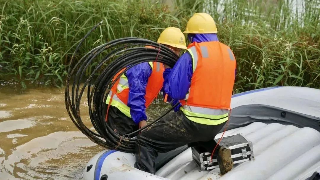 悬念揭晓在即,悬念揭晓视频