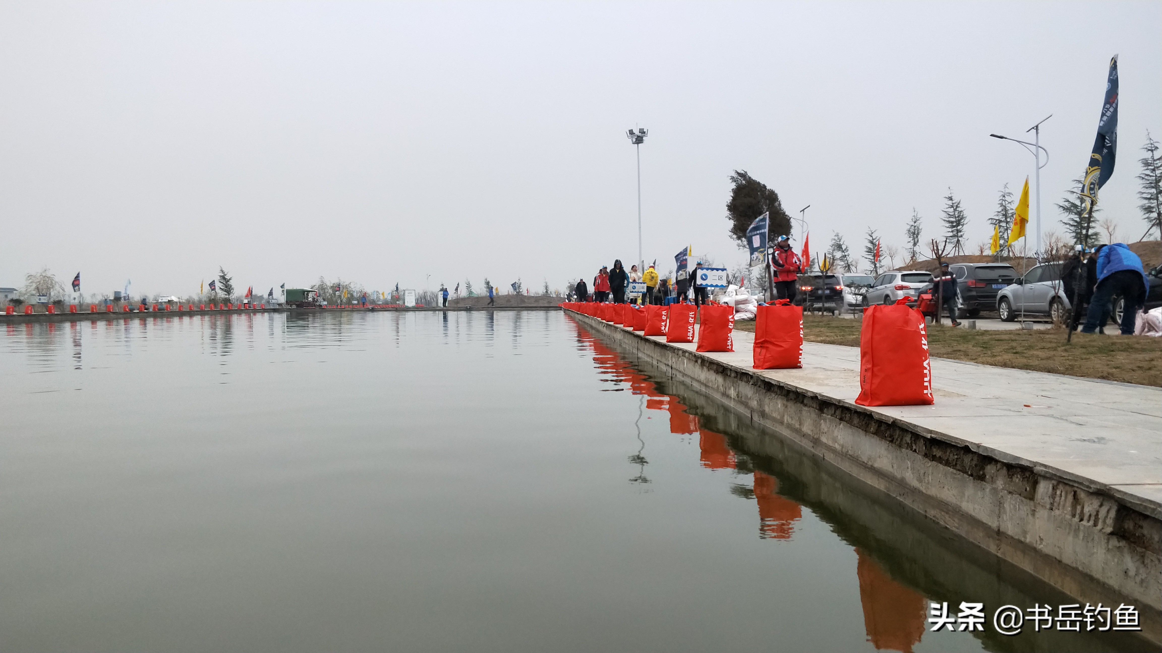 麝香钓鱼什么样的纯,真麝香钓鱼如何