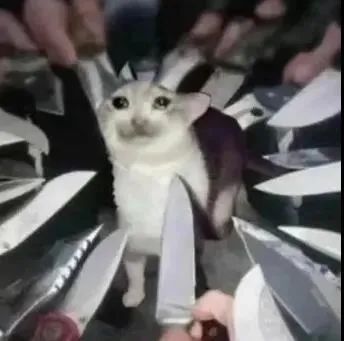 有关温柔和浪漫的表情包,浪漫而不烂俗的表情包