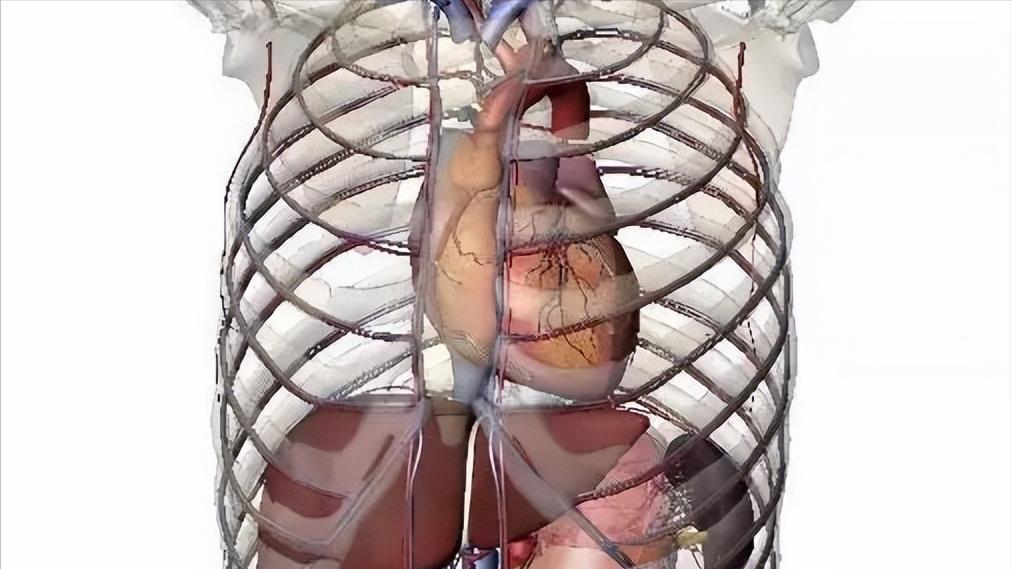 新冠特效药替诺福韦缺点,新冠特效药奈玛特韦使用结果