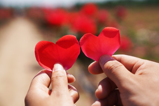 感觉自己变得越来越冷漠,聊着聊着突然变冷漠了是怎么回事