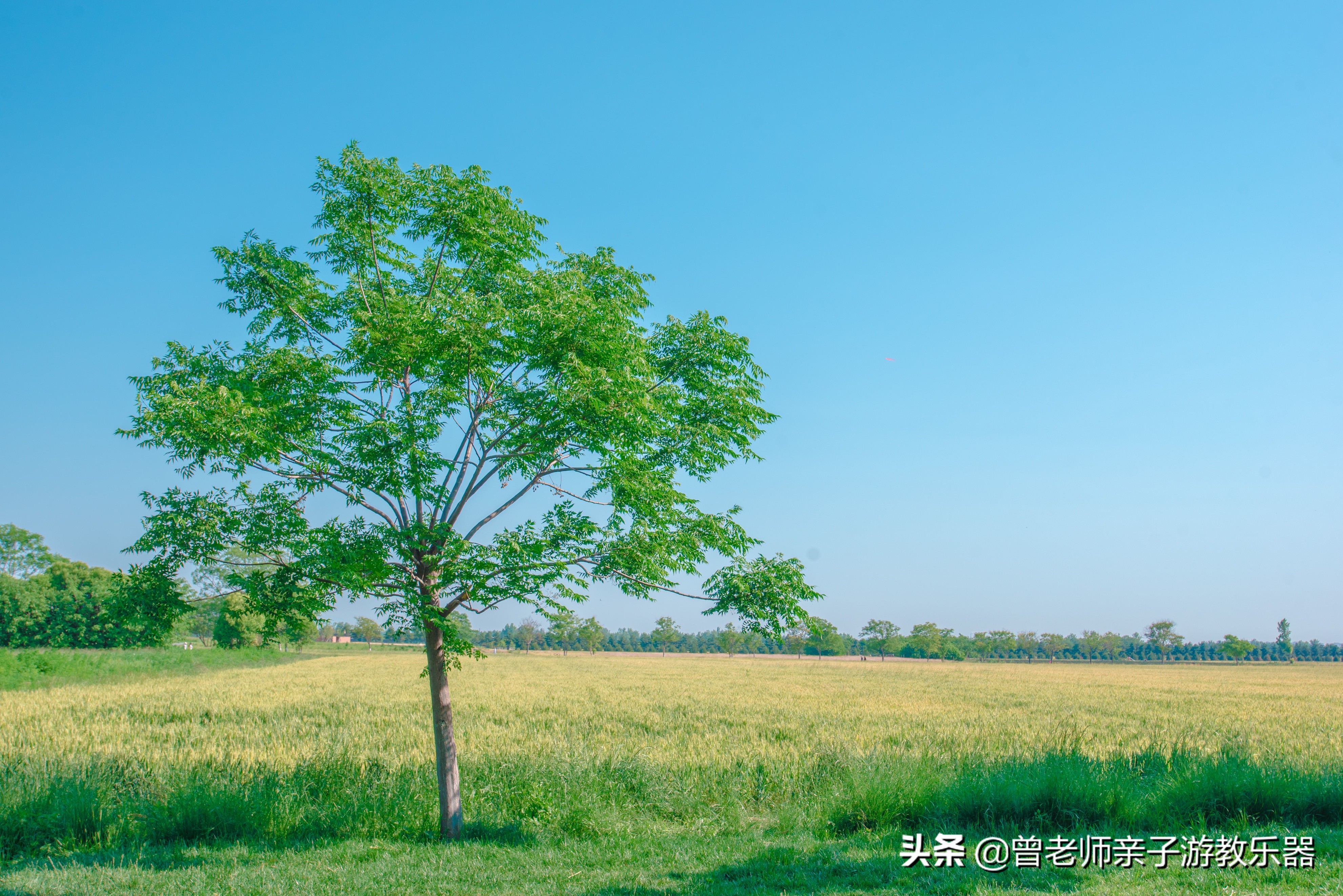 汉长安城未央宫遗址公园露营电话,汉长安城遗址公园露营最新