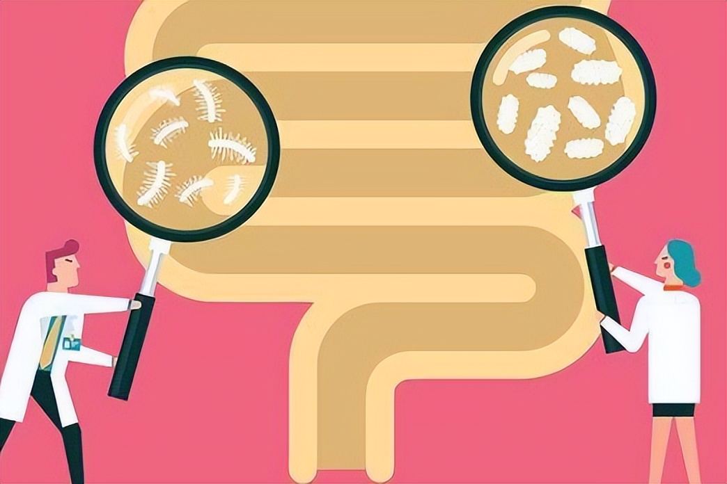 菠菜生菜西红柿哪一种是蔬菜之王,西红柿和哪些蔬菜不能吃