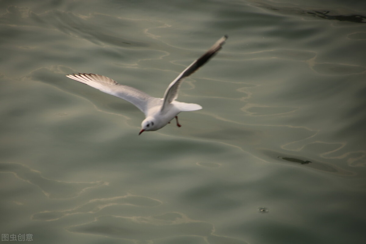 老婆脾气暴躁易怒强势还无法沟通,性格强势脾气暴躁的女人能娶吗