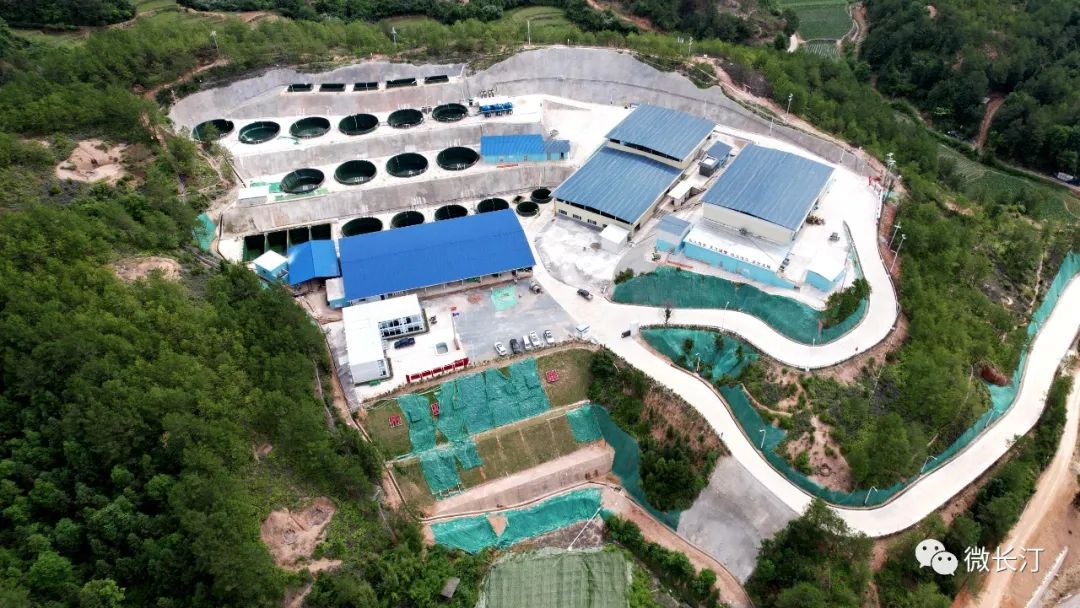 长汀最新投资项目,长汀重点项目最新动态