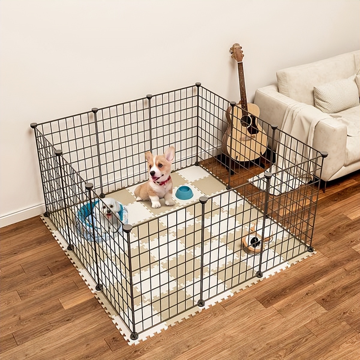 狗狗回家过了7天是不是安全了,为什么狗狗带回家七天不要出门