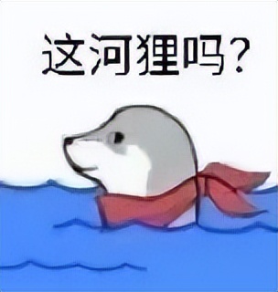 离谱！修改一次昵称竟收费118元？