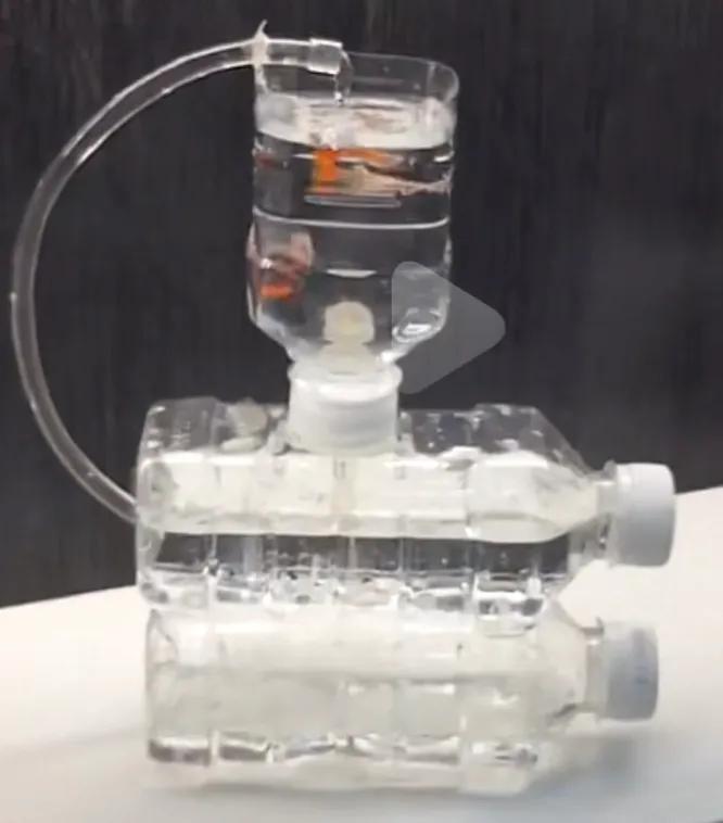 学会了省钱也该学着挣钱了,学会了副业就等于捡钱