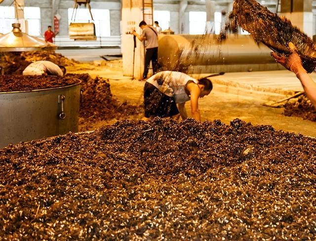 同为洋河梦之蓝和天之蓝谁更畅销？行家叹气：这得慢慢道来