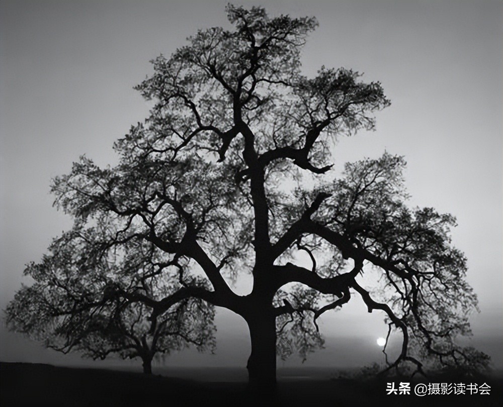 安塞尔亚当斯风光摄影,安塞尔亚当斯摄影经典作品图片