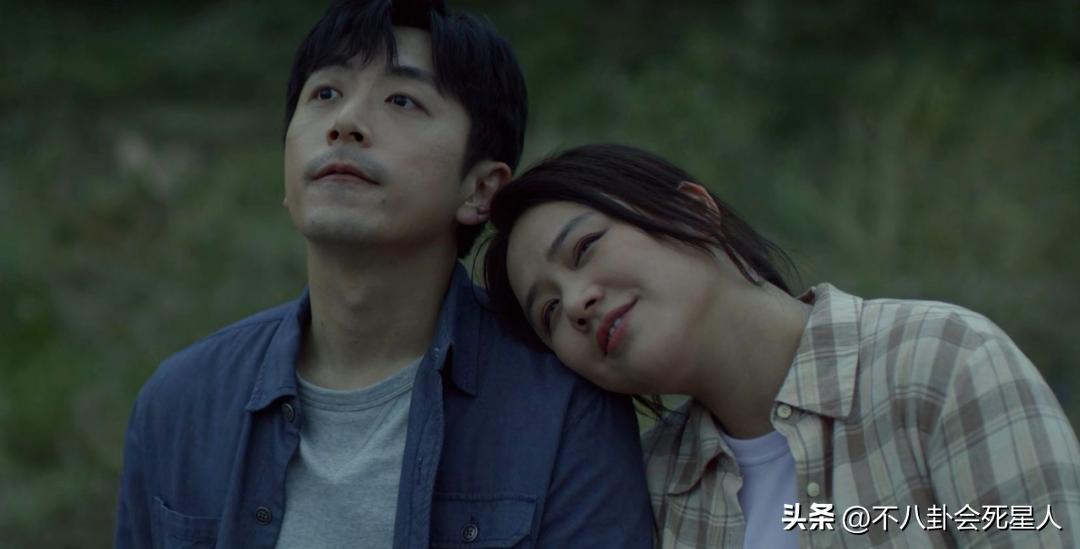 年终盘点2022最值得看的5部口碑剧,2022最值得看的五部剧