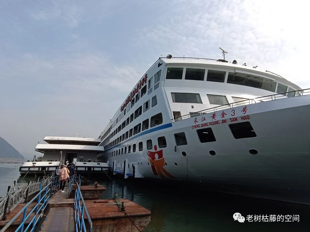重庆到宜昌的豪华游轮攻略,宜昌到重庆游轮五日游最好的时间