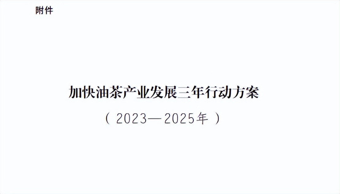 油茶种植一亩利润多少,种植油茶一亩多少利润