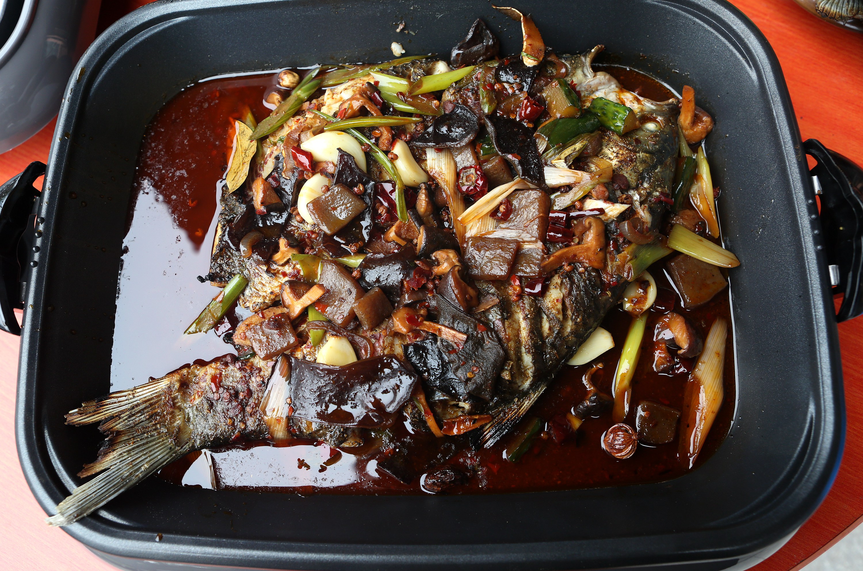 从远古走来完整版,巫山烤鱼来历和典故