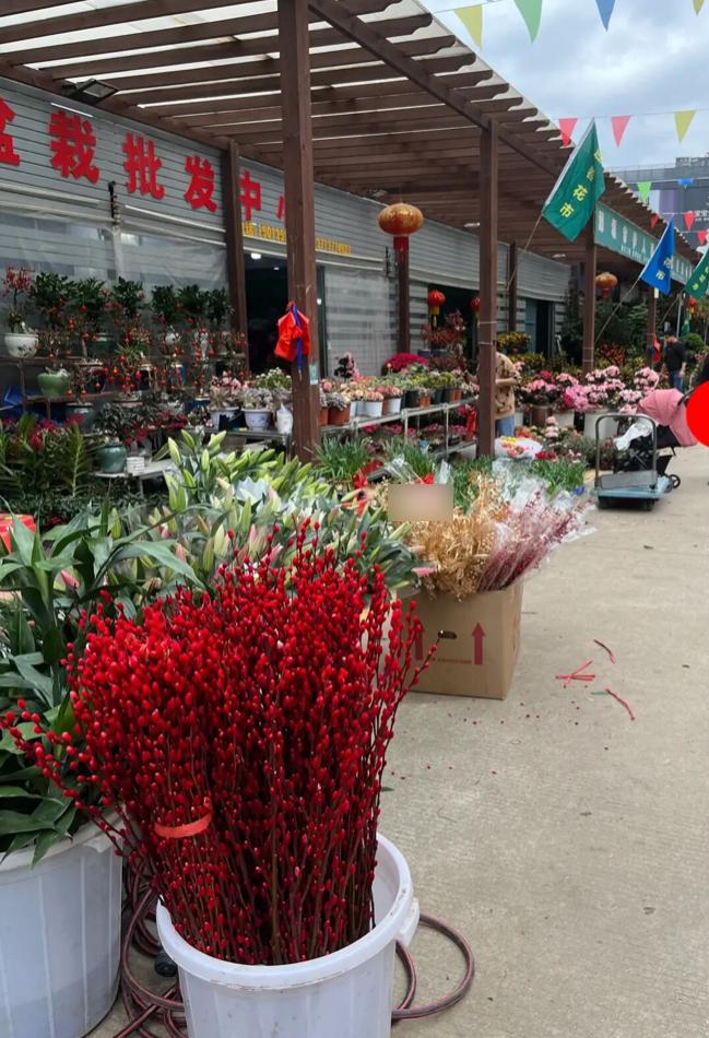 母亲节鲜花花束深圳,深圳福田区母亲节鲜花