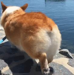 翘臀下垂的原因,翘臀怎么翘才是真正的方法