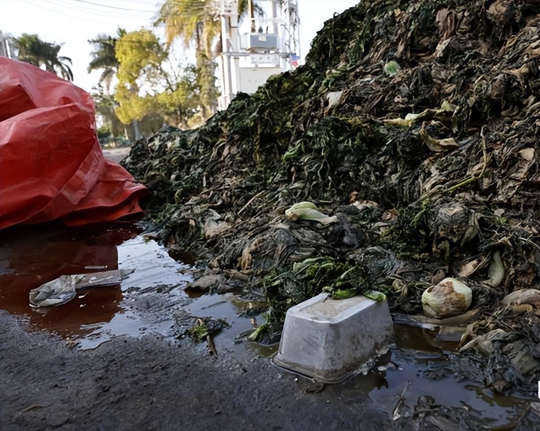 聚焦315消费者权益日橄榄菜案例,315曝光的橄榄菜是怎么回事