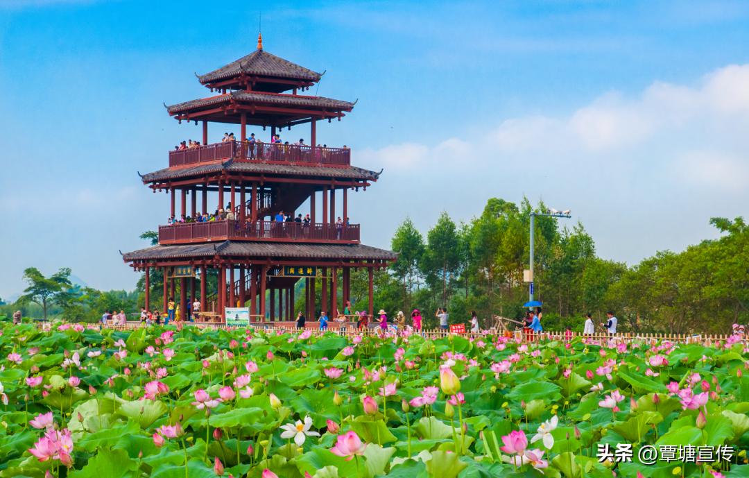 钦州市宣传口号征集,贵港市宣传口号