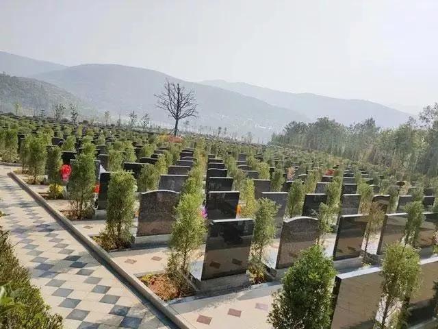 公墓到期后如何处理,公墓到期被挖违法吗