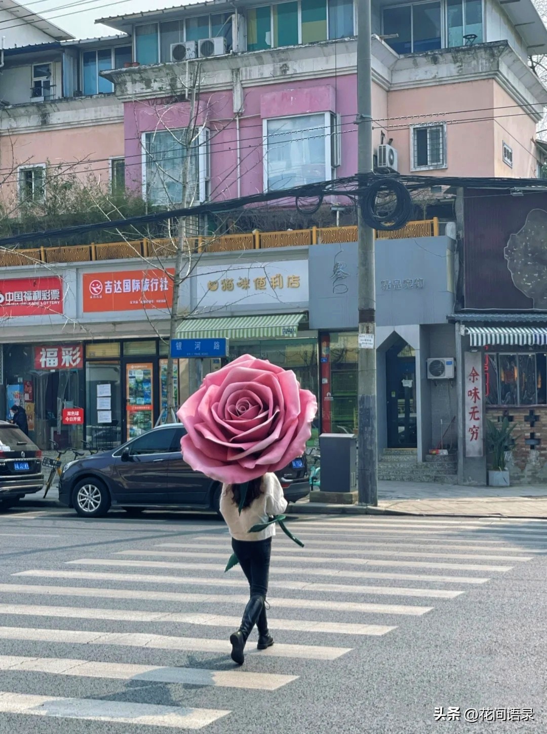 男子送四川女友巨型玫瑰花,小伙送玫瑰花给女友
