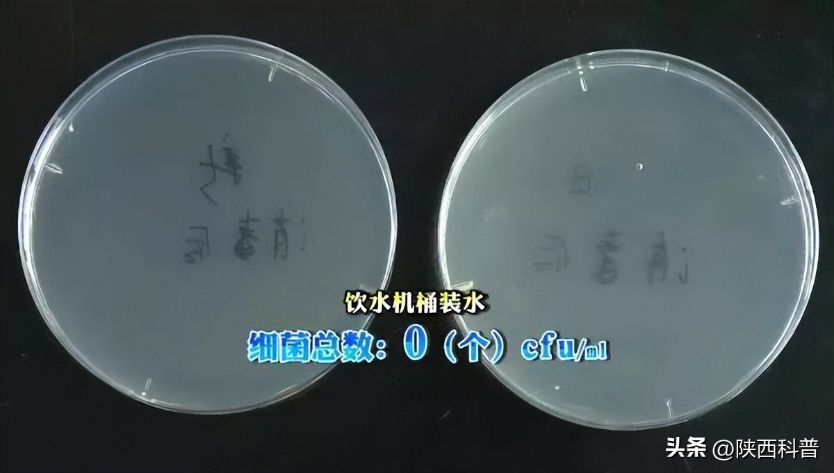 饮水机的水真的有那么脏吗,实测饮水机你想象不到的脏