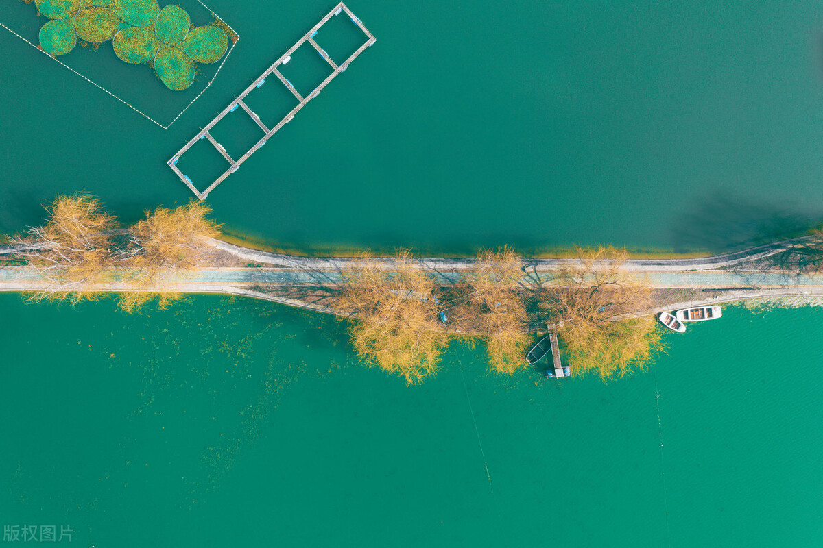 华中农业大学网络教育专升本,华中农业大学专升本要求