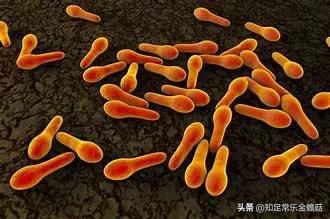 伤口碰到铁锈如何判断感染破伤风,伤口有铁锈得破伤风的几率有多大