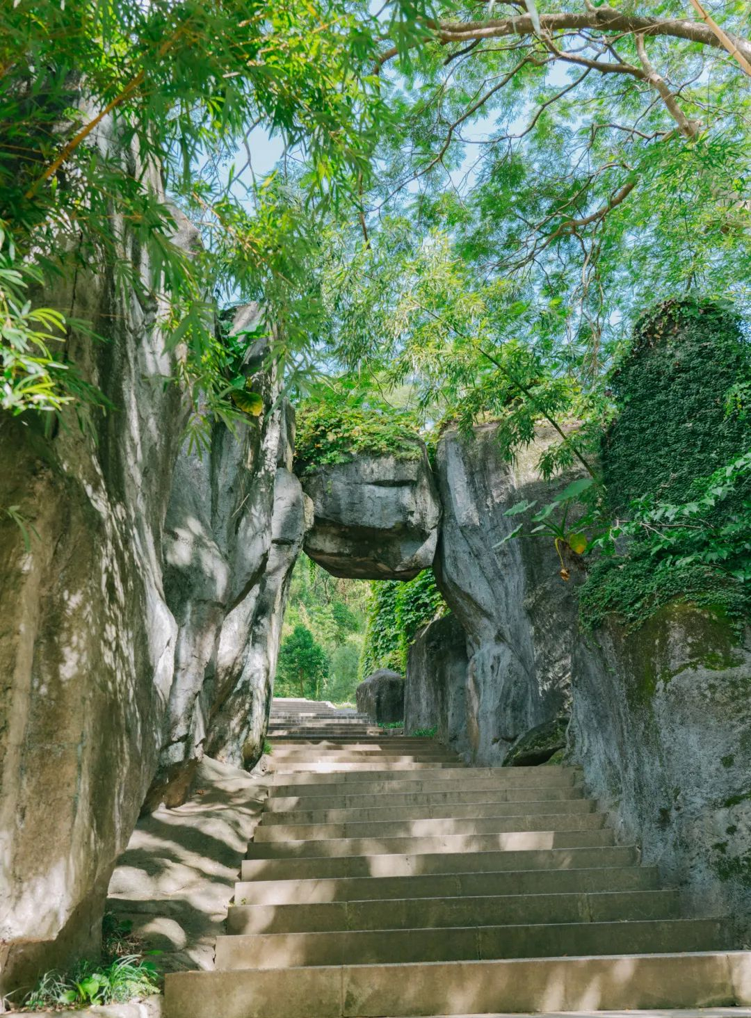 周末森林公园推荐深圳宝安,深圳森林公园登上山顶看美景