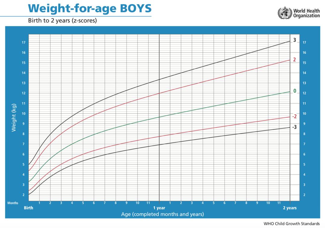 营养不吸收体瘦怎样调理,身体瘦不吸收营养怎么办