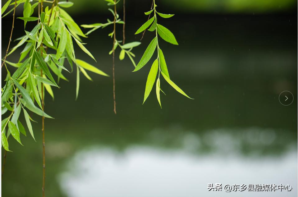 关于春天的诗词和优美句子,最美有关春天的诗词