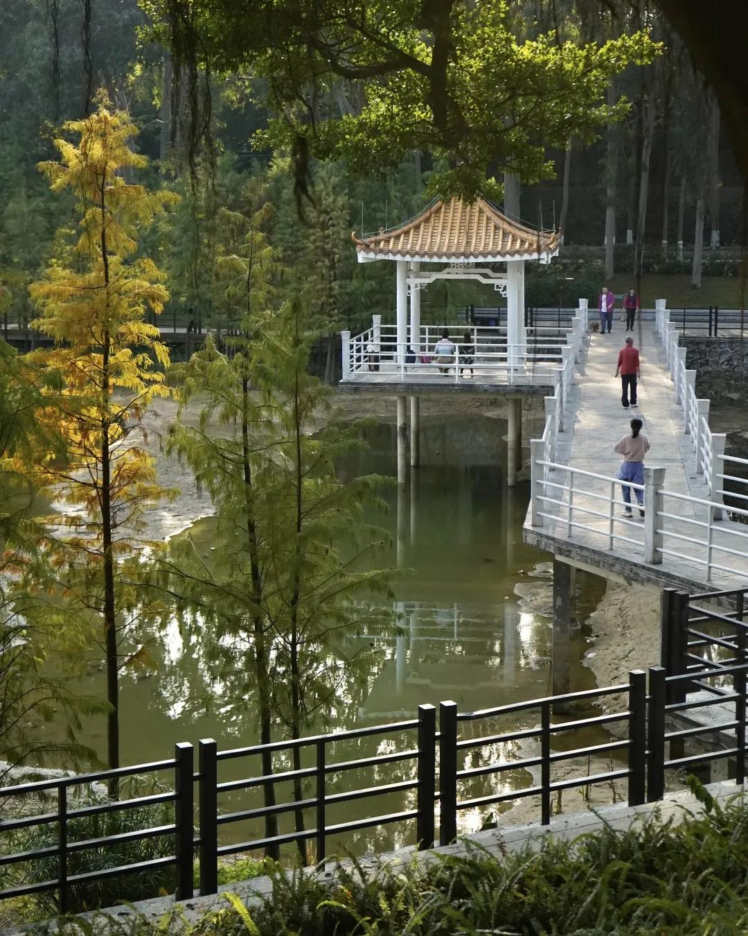 2021广州打卡必去的地方,广州必打卡的十个免费景点