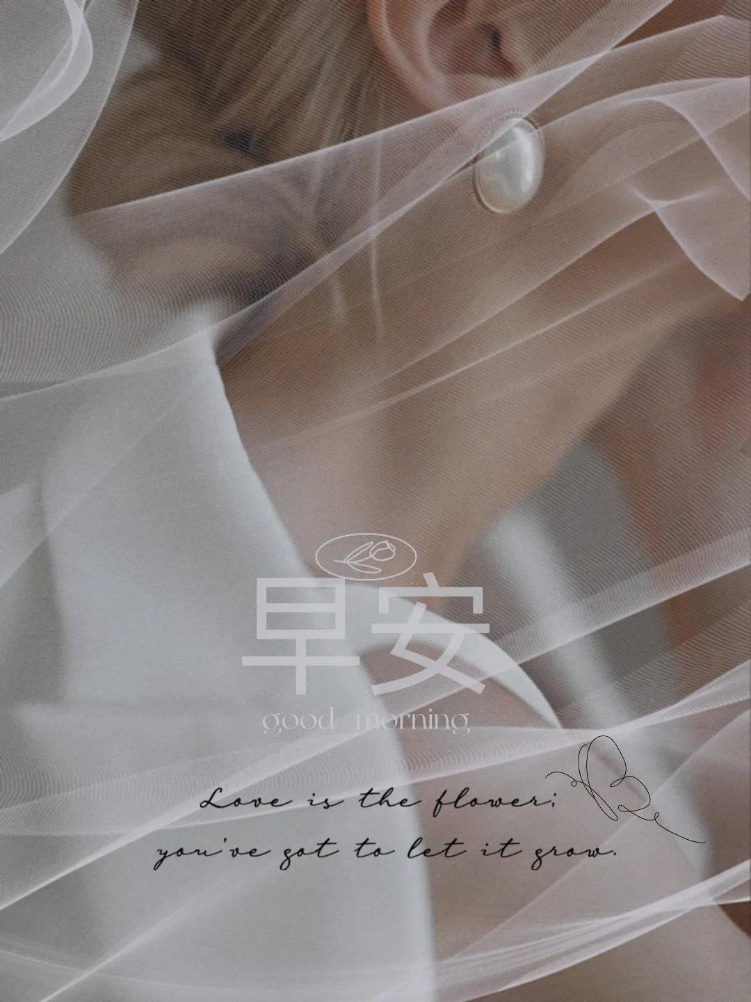 细分领域是怎么赚钱的,垂直细分领域赚钱案例