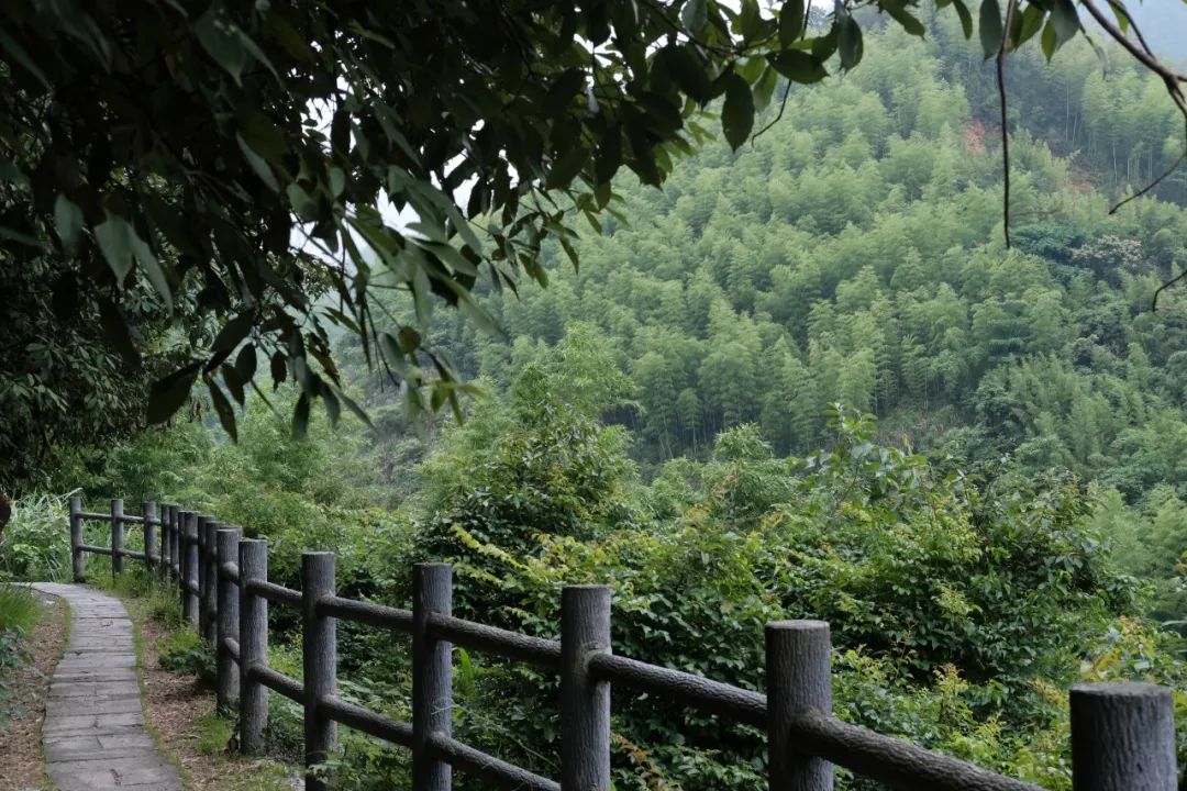 杭州冬日旅游自驾,杭州周边避暑两日自驾游攻略