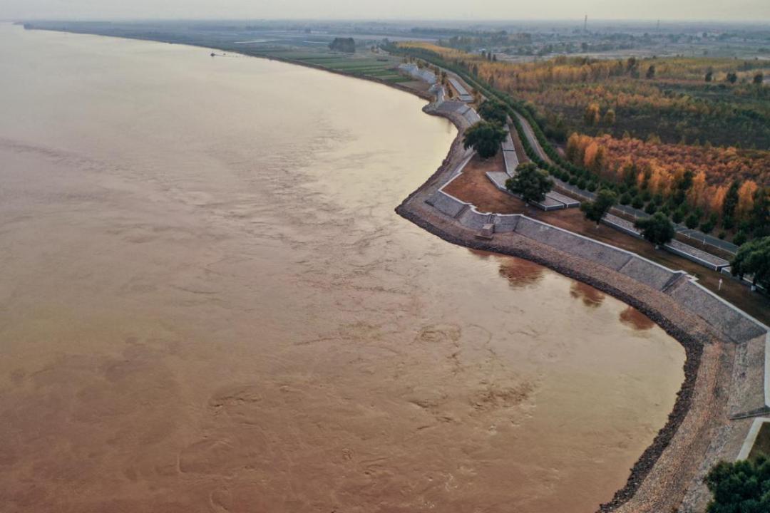 这一辈子总要去一趟东营,天下长河这个电视剧怎么样