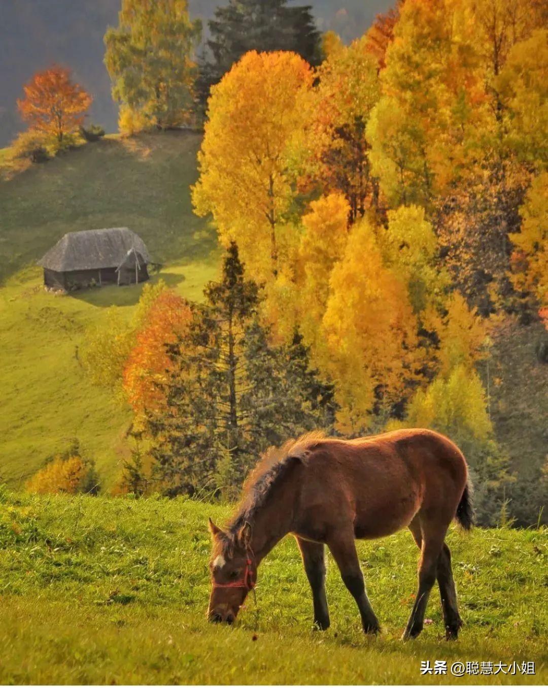 罗马尼亚这个国家介绍一下,罗马尼亚景色最美的地方