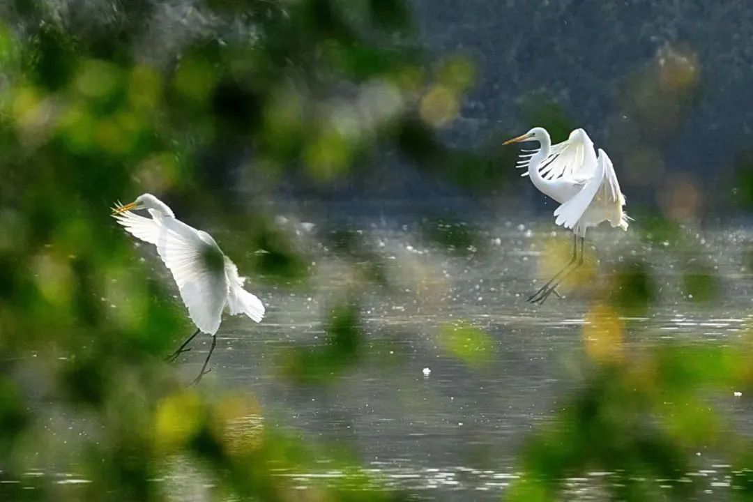 广州户外运动哪里集中,广州户外运动路线