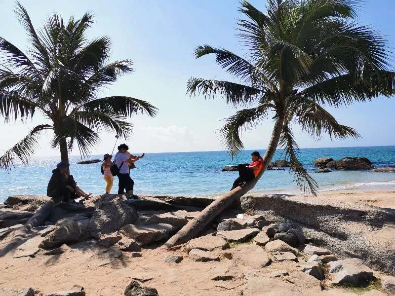 文昌椰林在哪里,文昌椰林靠海吗
