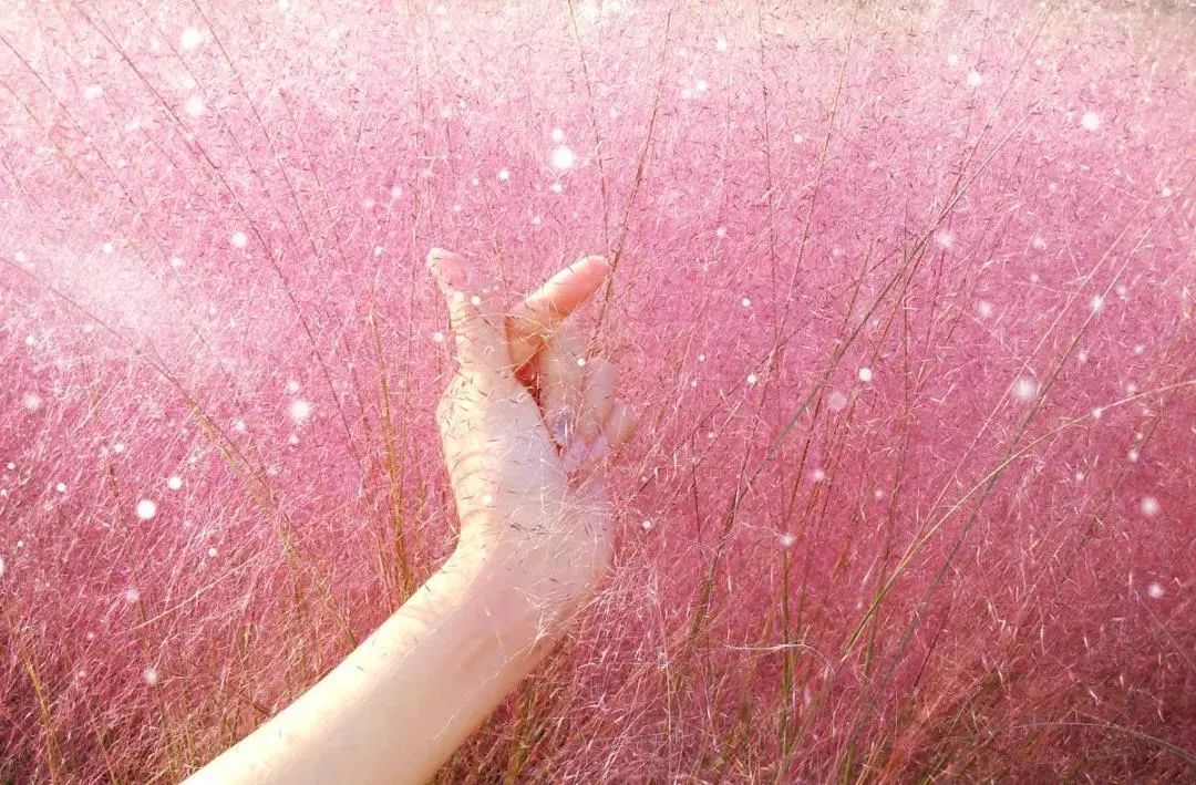 清远古龙峡两日一夜自驾游攻略,清远古龙峡附近2天攻略