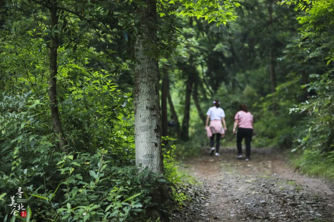 北仑步道爬山,北仑爬山路线