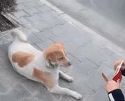 走路累了坐着歇一会,走累了坐下歇会怎么回事