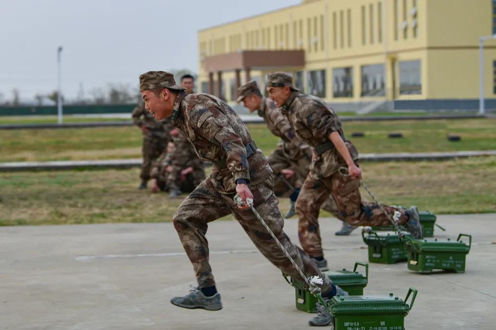 第71集团军“中野虎师”：“虎”为荣誉名，虎气霸屏！