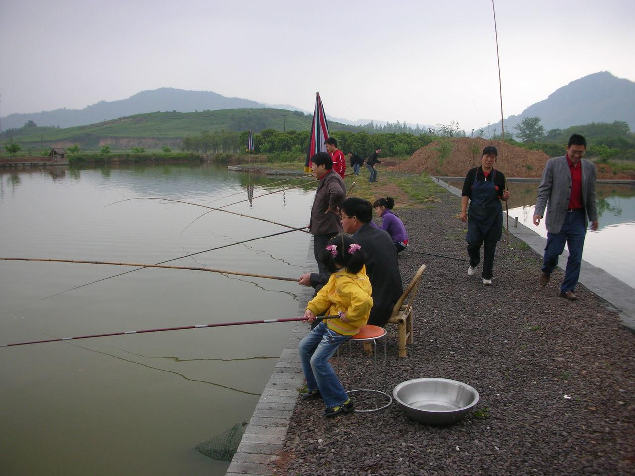 新手钓鱼入门基本知识,水库钓鱼技巧新手入门